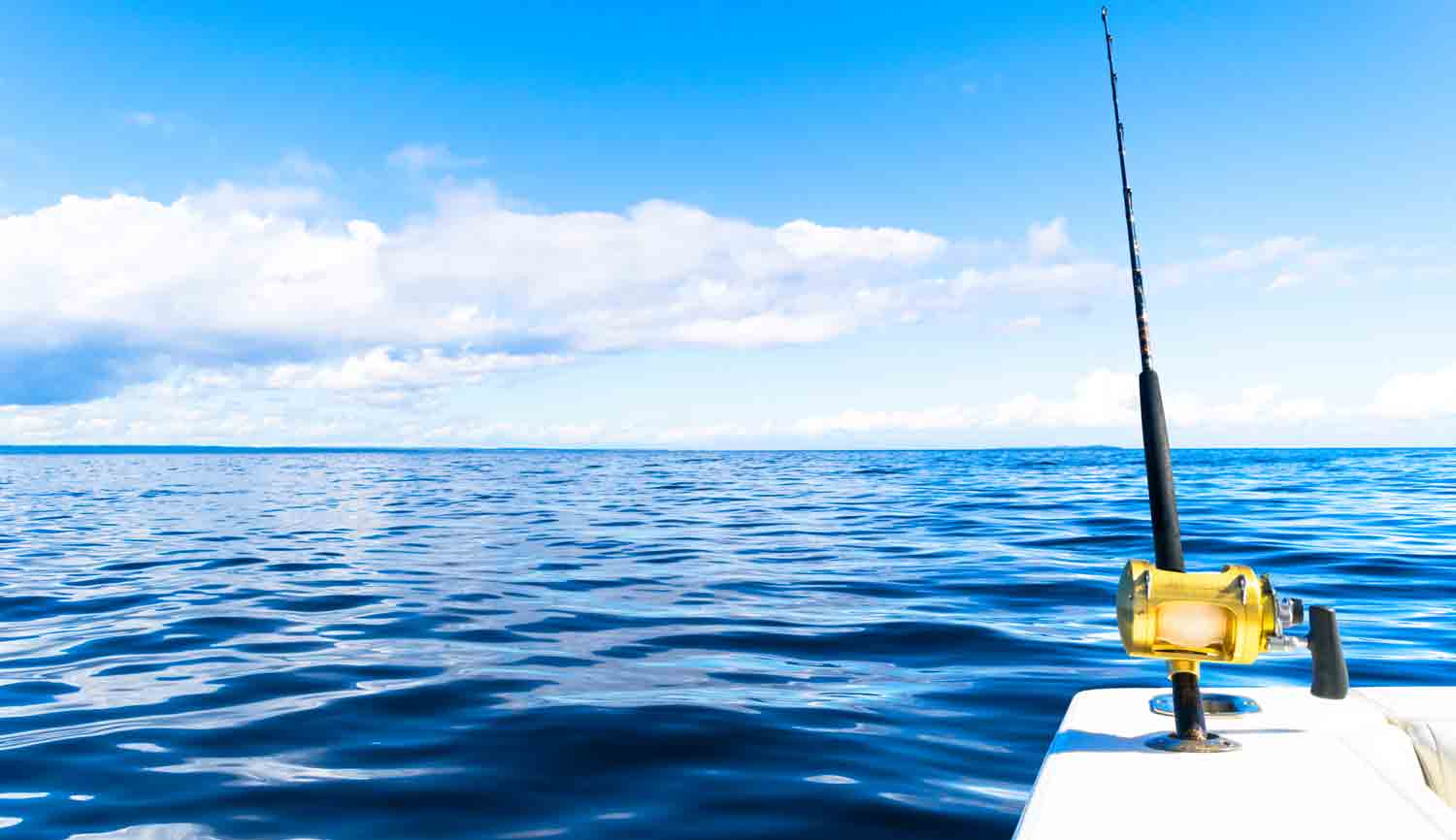 Choosing the Best Rental Boat for your next day out Fishing